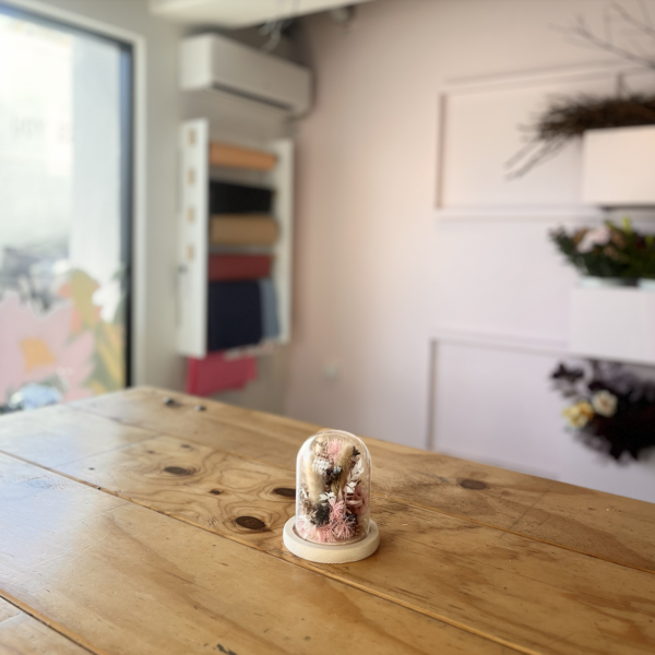 Mini Dried Dome